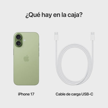 iPhone 17