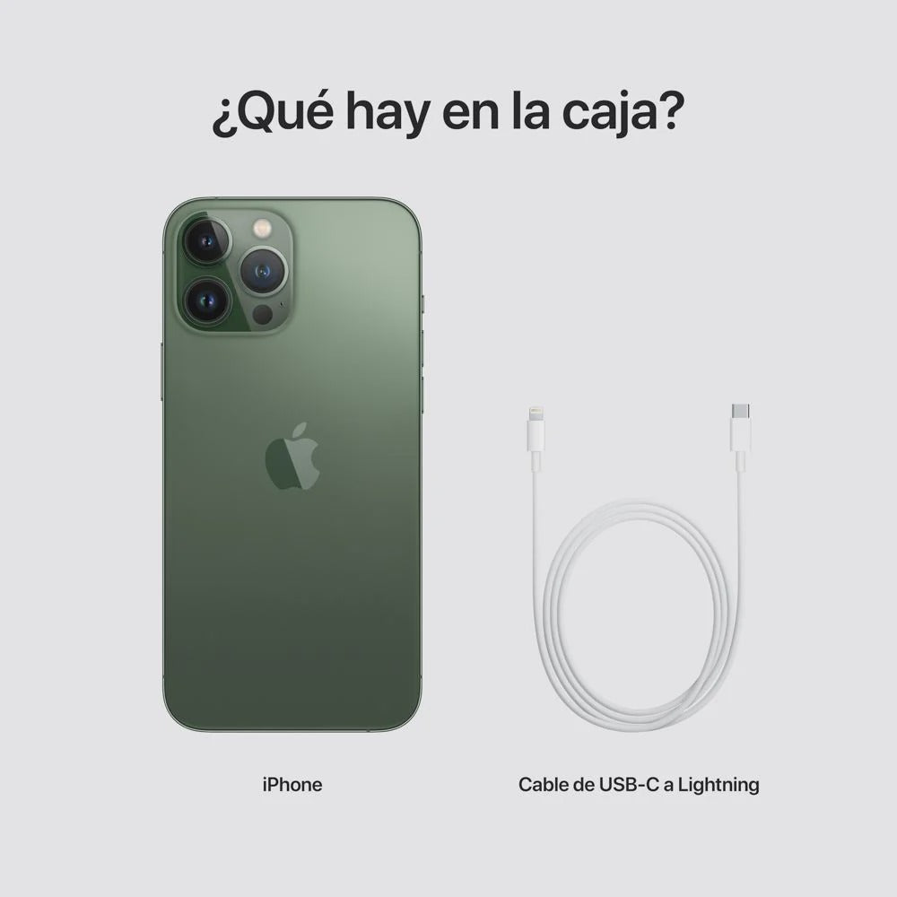 iPhone 13 Pro Max